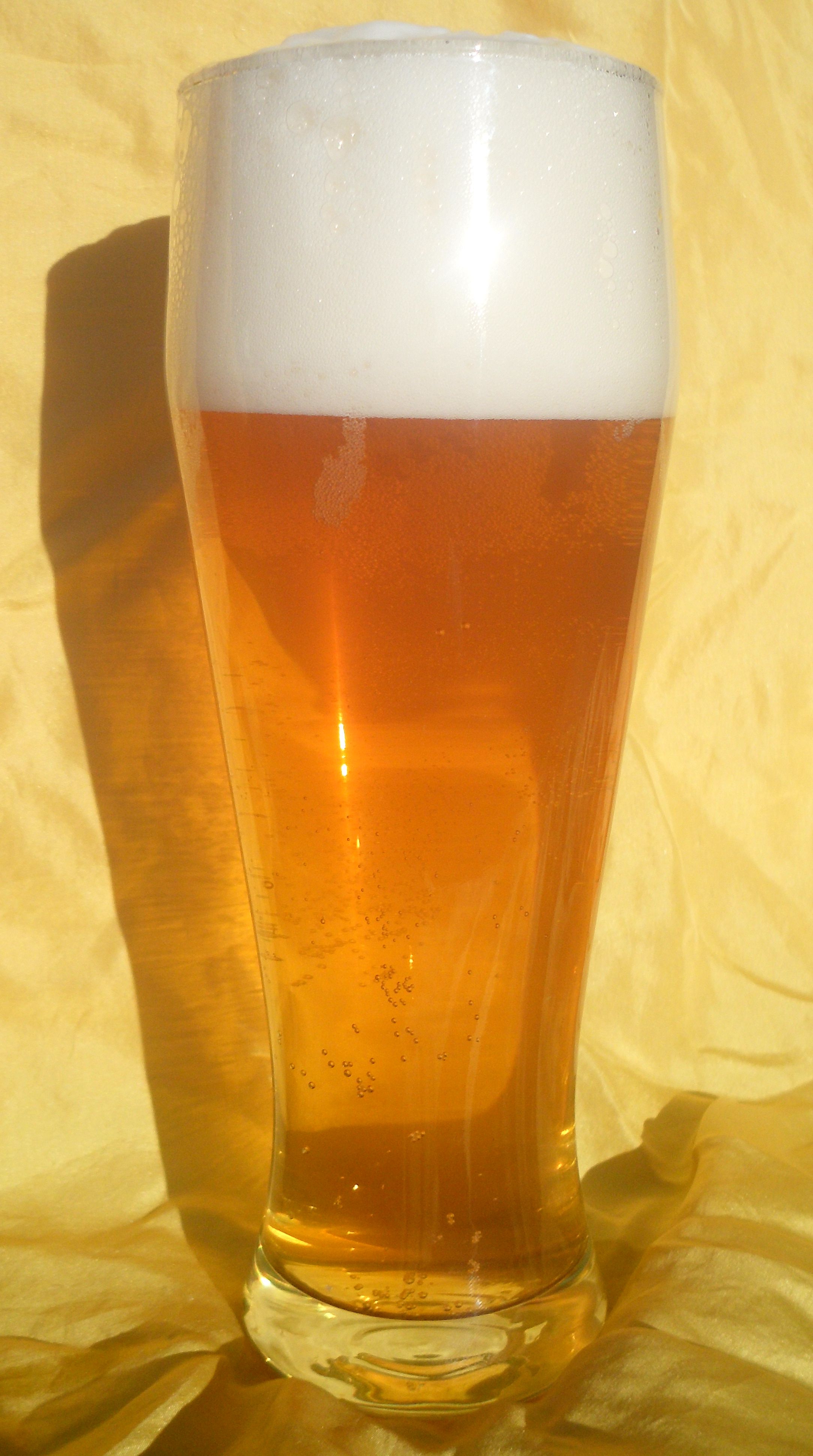 Pivo