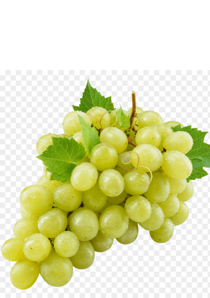 Výroba vína a ciderů