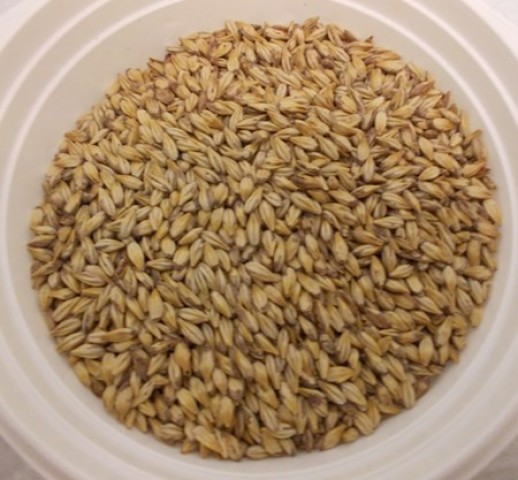 Slad Karamel pils