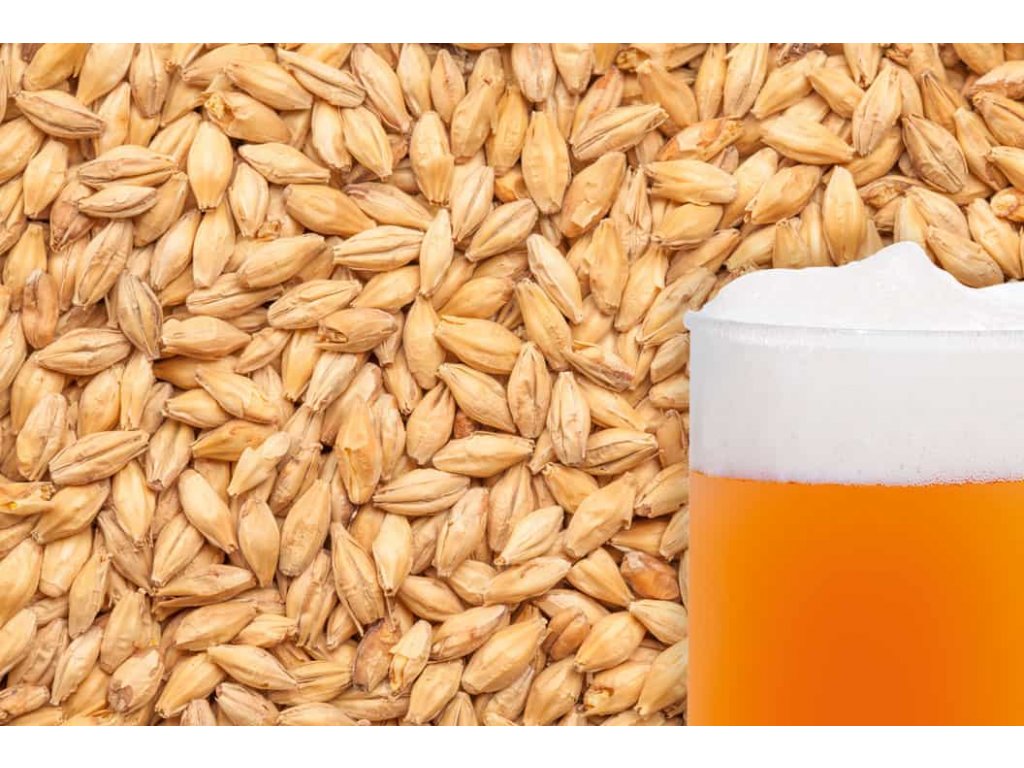 BEST Pale Ale malt