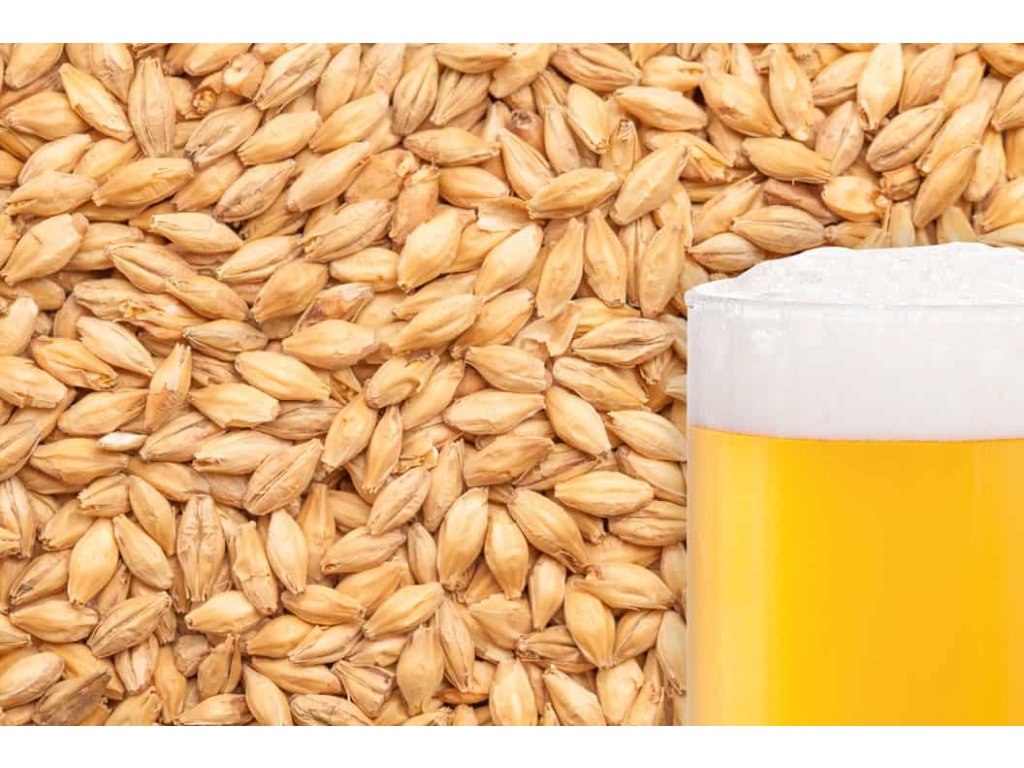 BEST Caramel Pils