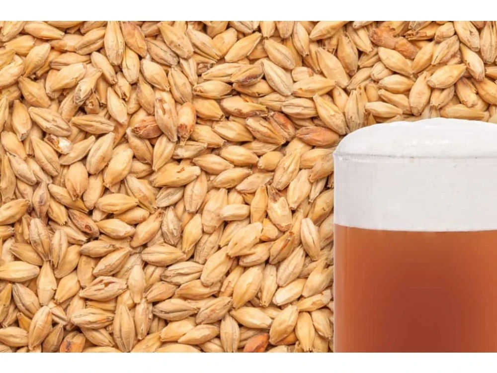 BEST Munich malt
